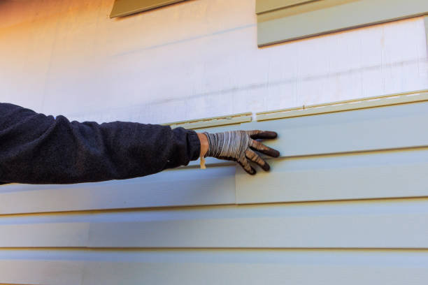 Best Engineered Wood Siding  in Irvington, KY